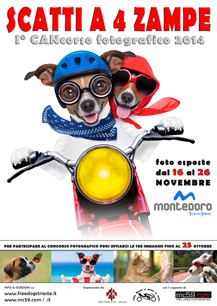 15/10 Nuovo Photo Contest